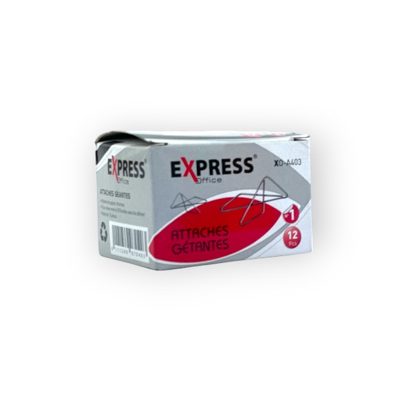 Boite de 12 Trombones Geants en Acier Express