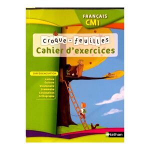 cahier d'activités CM1 4éme
