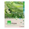 The big picture B1 Student's book