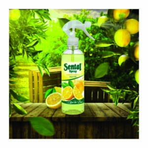 Bouteille Spray Citron