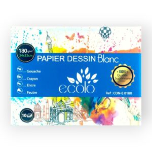 Paquet de 10 Feuilles de Papier Canson