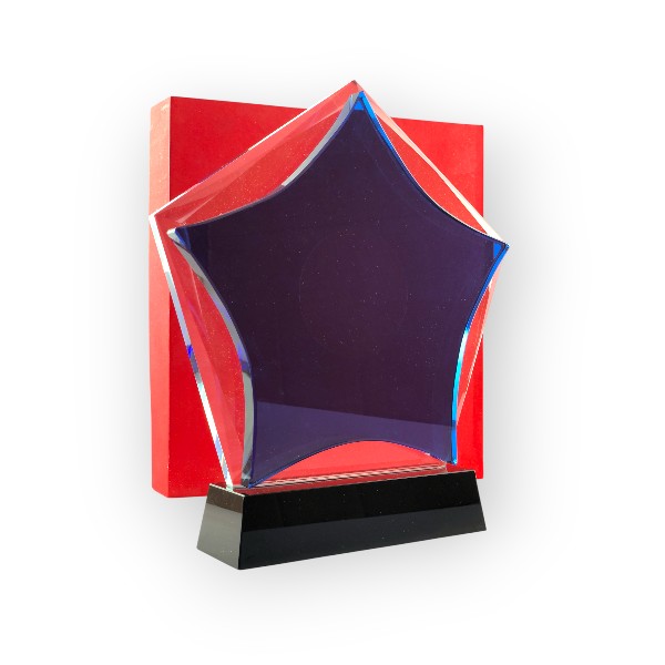 trophee_en_cristal_avec_impression_uv_lef_et_boite-12 Trophée en Cristal Impression 39