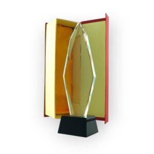 Trophée en Cristal Impression 47