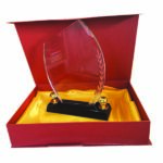 Trophée en Cristal Tr 235A
