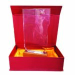 Trophée en Cristal Tr 16