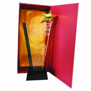 Trophée en Cristal Tr 38