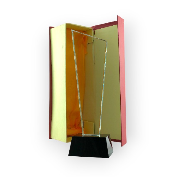 trophee_en_cristal_avec_impression_uv_lef_et_boite-33 Trophée en Cristal Tr 48