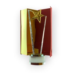 Trophée en Cristal Tr 26
