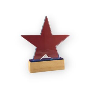 Trophée en Cristal Tr 44
