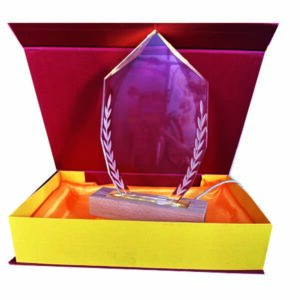 Trophée en Cristal 2352