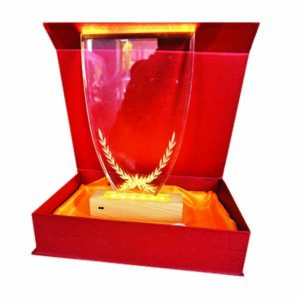 Trophée en Cristal Lumineuse